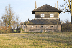 Hooiberg het Steenuiltje