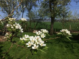 retraiteweekend moeder en dochter